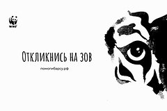 WWF и HiFi-сервис Звук запустили совместный проект в помощь снежным барсам WWF и HiFi-сервис Звук запустили совместный проект в помощь снежным барсам